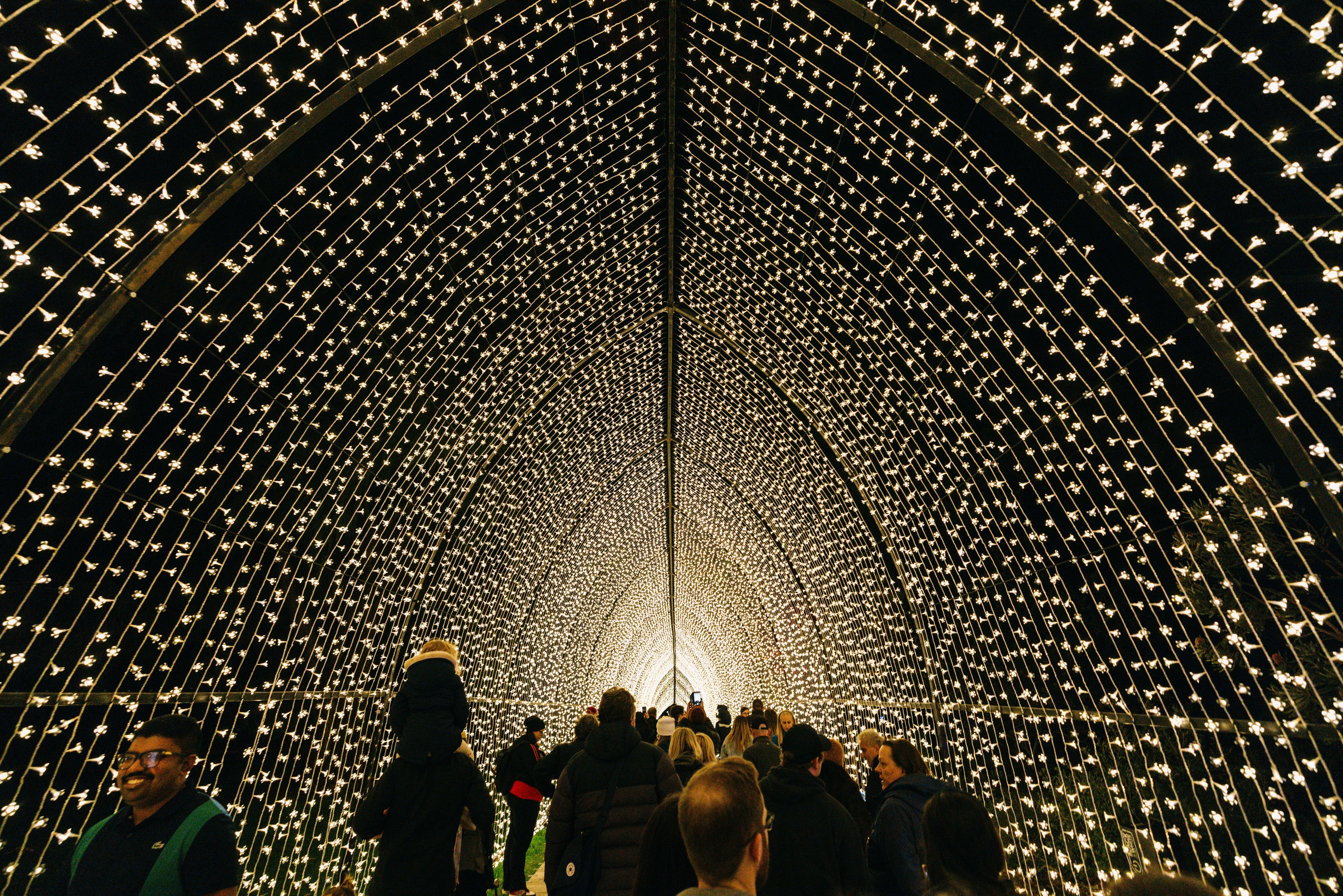 Lightscape at Kings Park