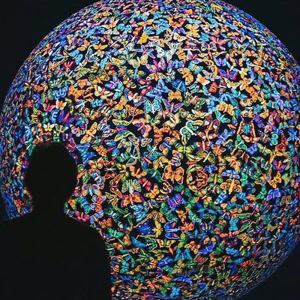 Lawrence Wilson Art Gallery