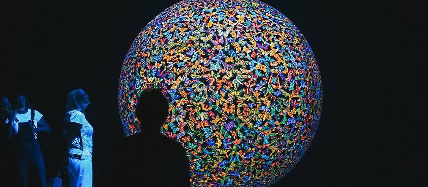 Lawrence Wilson Art Gallery