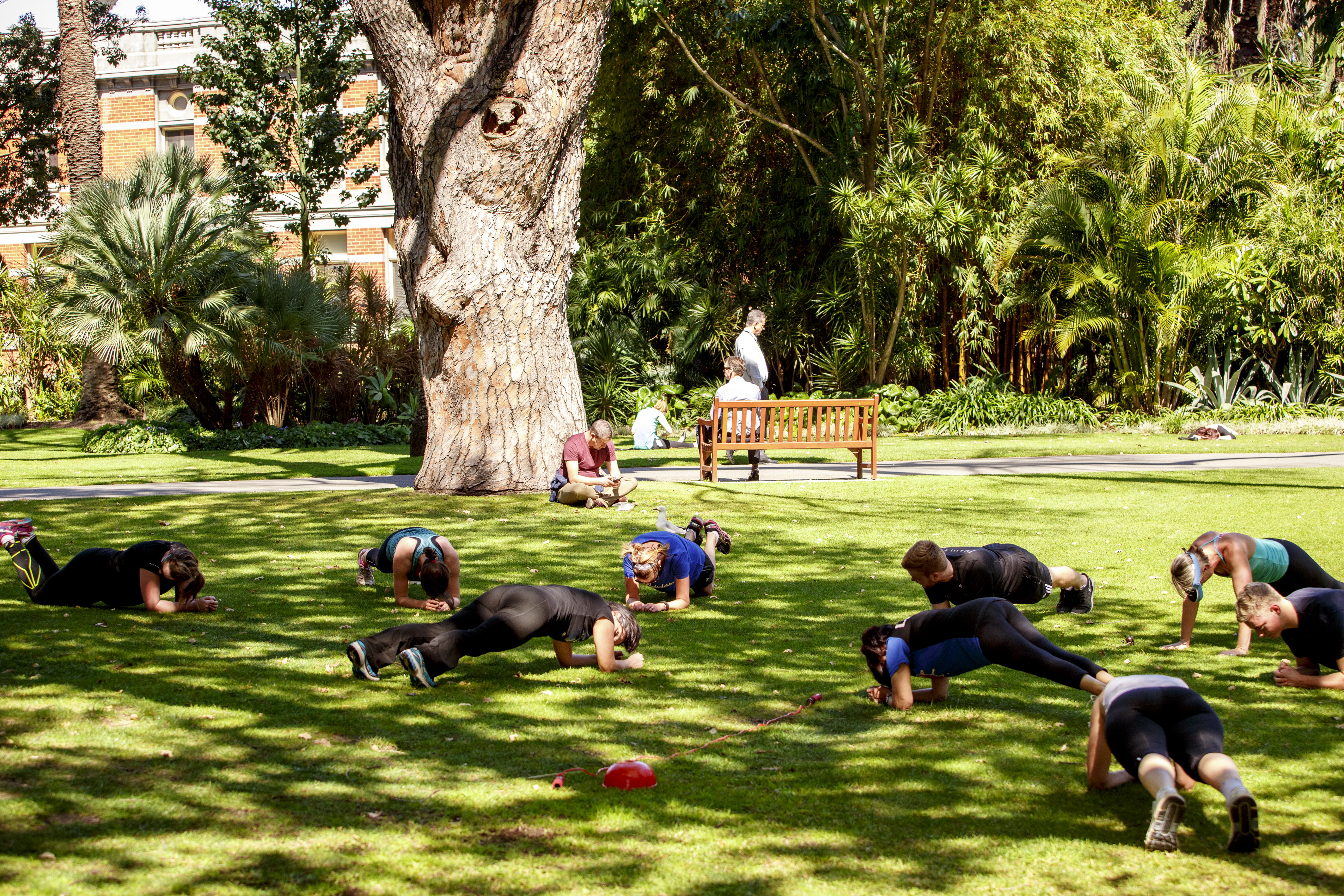 Group fitness sessions at council house gardens