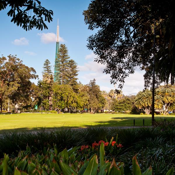 Supreme Court Gardens