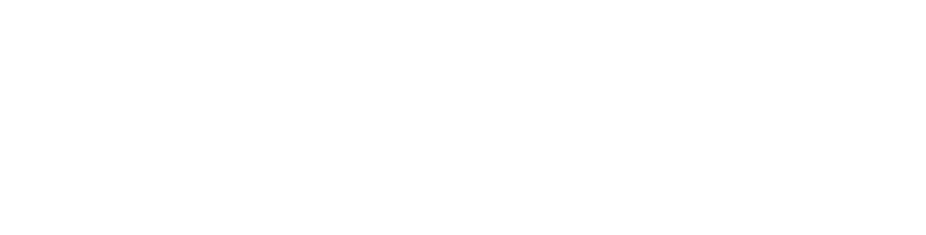 City of Perth logo