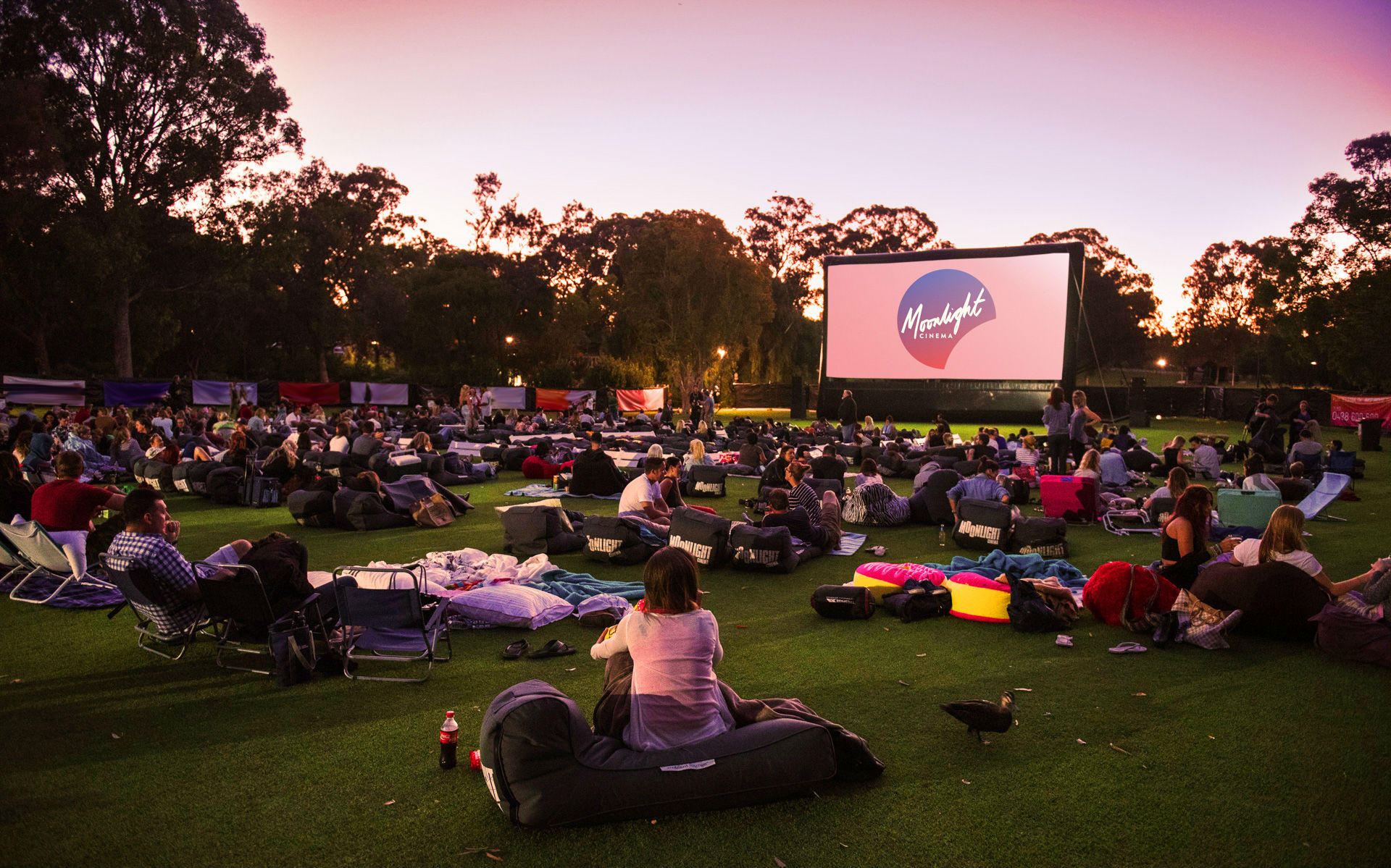 Moonlight Cinema at Kings Park