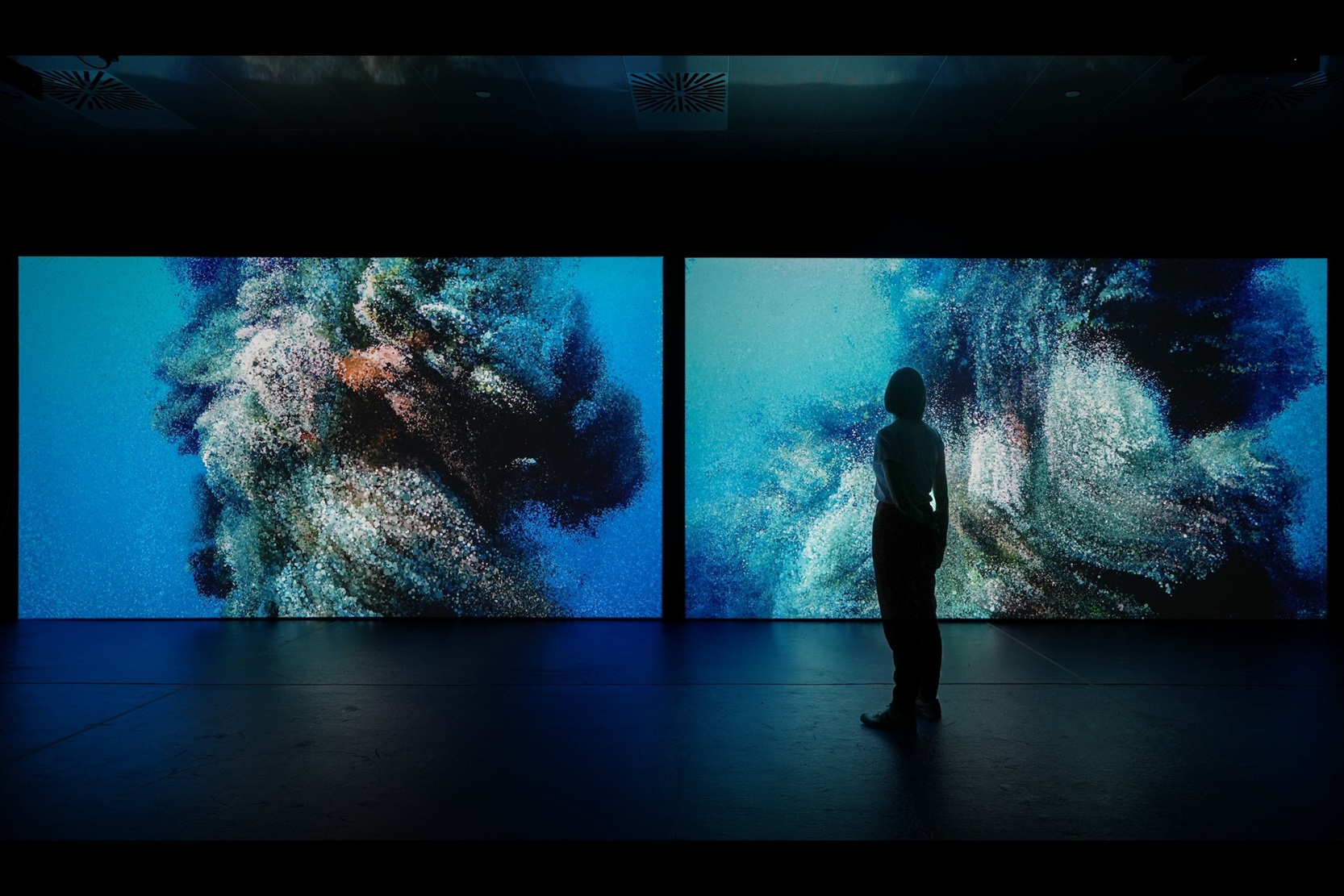 Biomass exhibit at WA Museum Boola Bardip