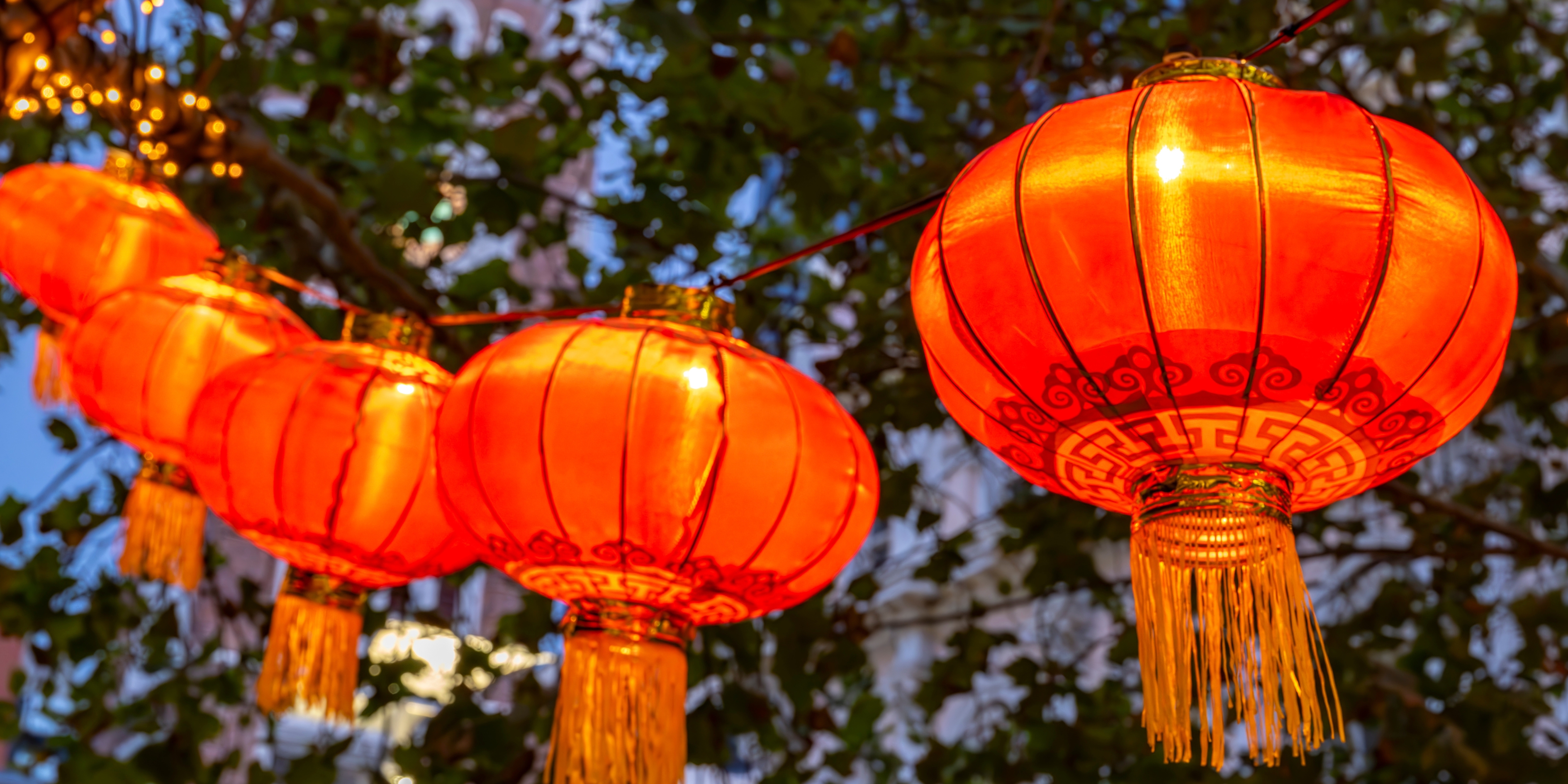 Lunar New Year lanterns in the Murray Street Mall