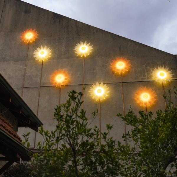 Everlastings light installation Colin Street West Perth